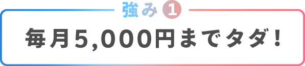 強み①毎月5,000円までタダ！